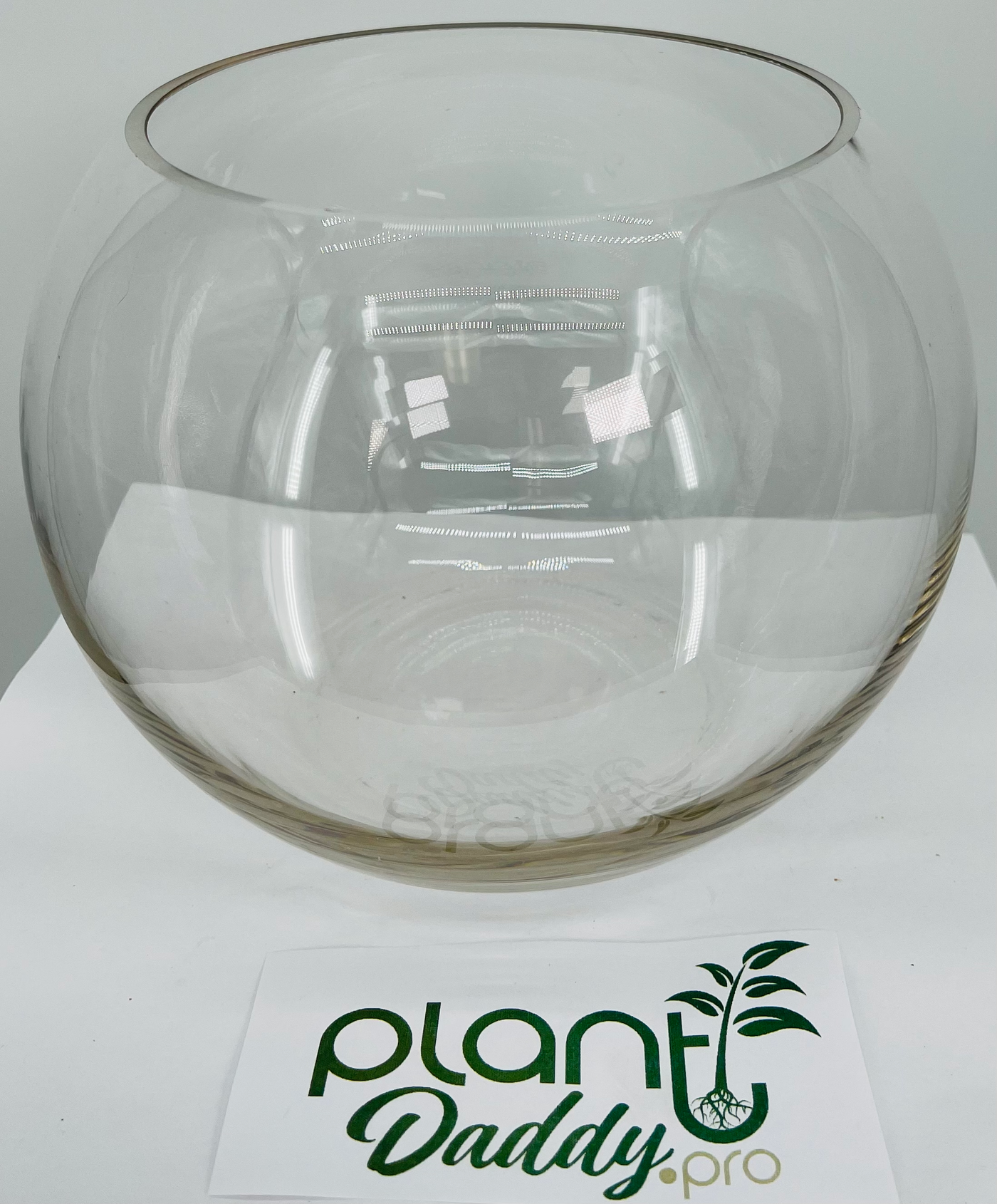 Plant Daddy Glass Bubble Bowl 10in width and 8.5in tall