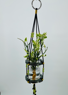 Plant Daddy Gorge Green Cylinder Hydro Sling - 2 Ring