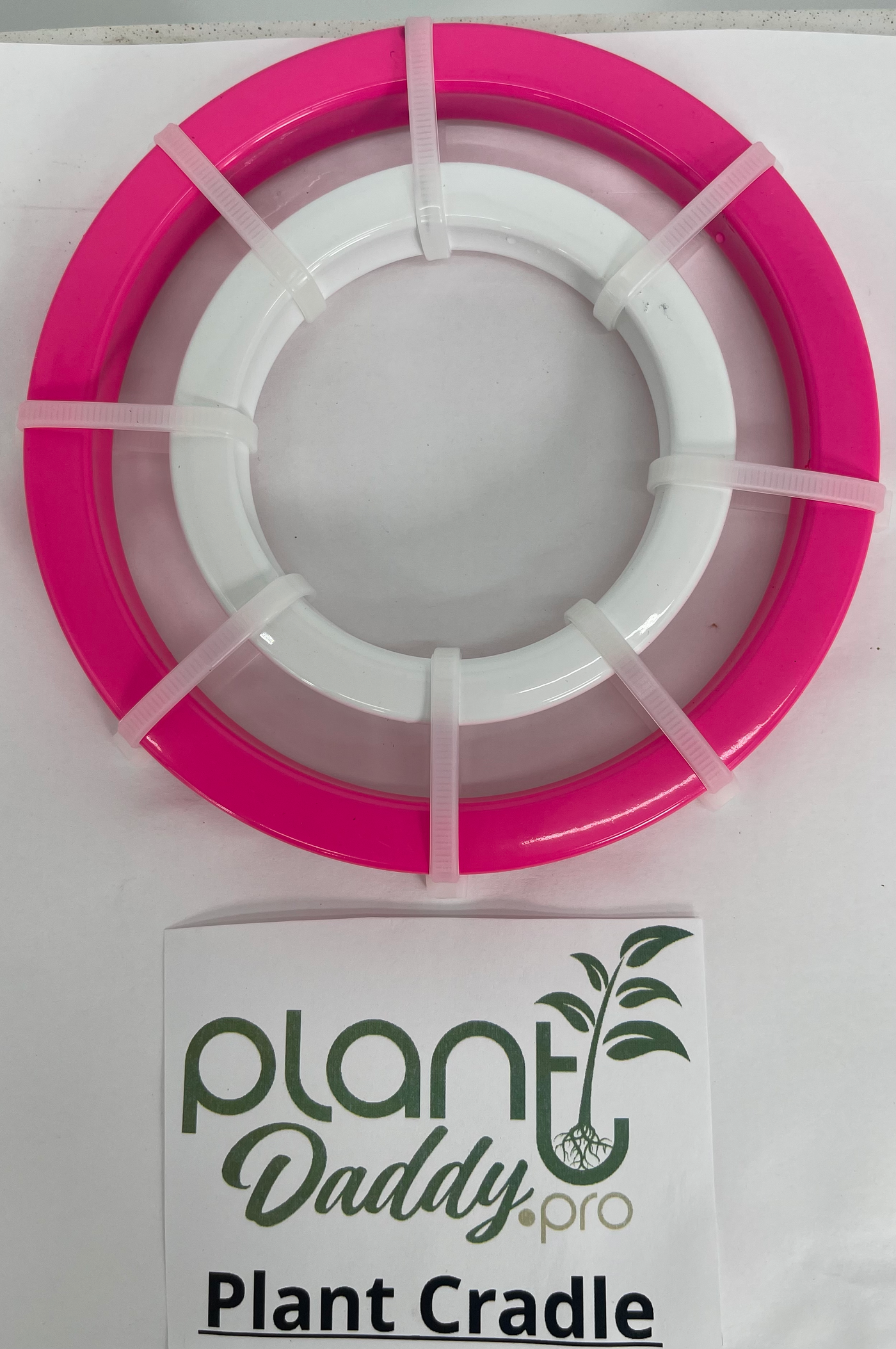 Plant Cradle 6in Pink Outer Ring with 3.5in White (2.50in opening) Inner Ring