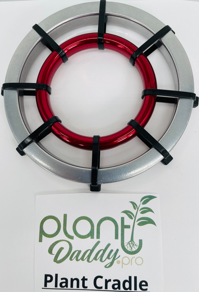 Plant Cradle 6in Silver Outer Ring with 4in Red (3in opening) Inner Ring